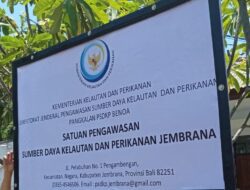 PSDKP Angkat Bicara, Polemik Pencari Bulung Harus Duduk Bersama 