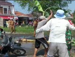 Kesal Dengan Kondisi Jalan Rusak Warga Mulyoharjo Tegal Tanami Jalan Dengan Pohon Pisang