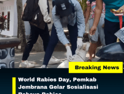 Peringati World Rabies Day, Pemkab Jembrana Sosialisasikan Bahaya Rabies