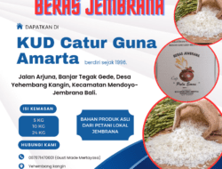 Beras Punel Cap Pulu Emas, Asli Dari Petani Jembrana