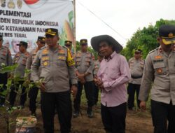 Dukung Ketahanan Pangan, Polres Tegal Manfaatkan Lahan Tidur Buka Lapangan Kerja Baru