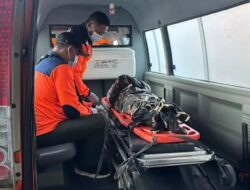 Akibat Serangan Ayam Bertaji di Arena Tajen, Nyawa Molog Tak Terselamatkan