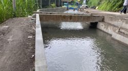 Irigasi Rampung, Petani Bangli Minta Proyek Lanjut Sampai Hilir