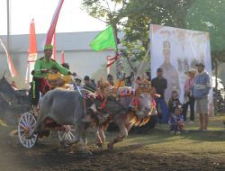 Ratusan Peserta Semarakkan Makepung Kapolda Bali Cup, Kapolres Jembrana : Jaga Kelestarian Budaya
