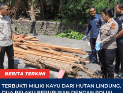 Polisi Ungkap Kasus Illegal Logging, Dua Orang Jadi Tersangka