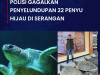 Polisi Gagalkan Penyelundupan 22 Penyu Hijau di Serangan   